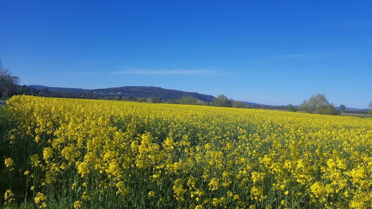 Lebensfreude Im Weserbergland Apartment Hoexter