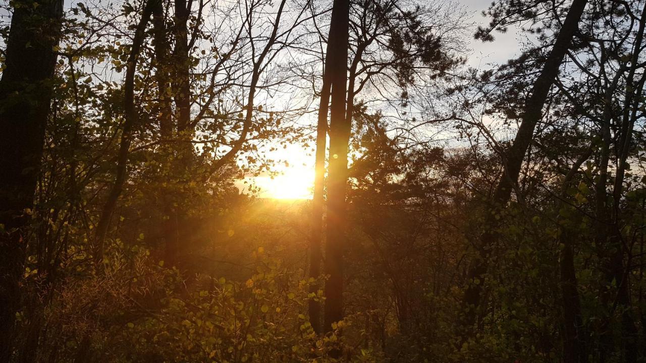 Lebensfreude Im Weserbergland Apartment *